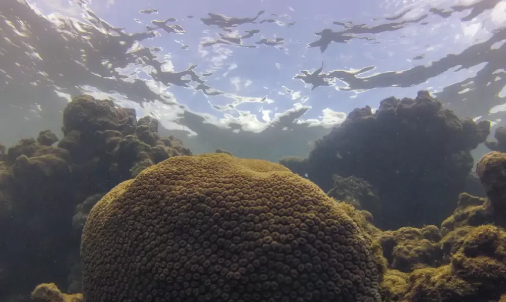  Fernando Frazão/Agência Brasil