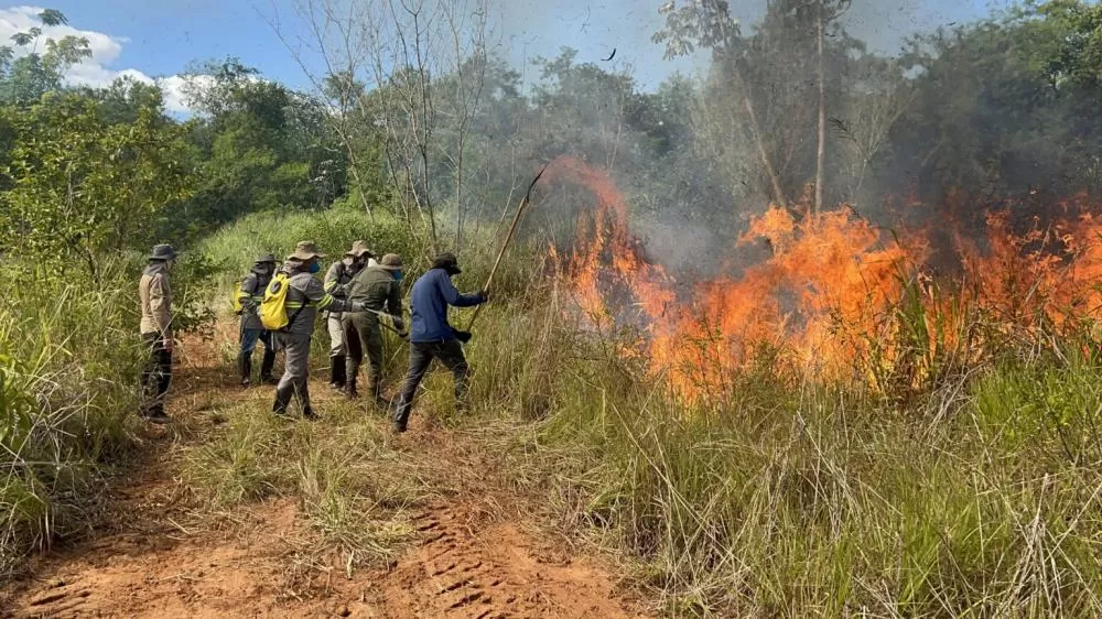 Brigada Florestal em treinamento no final de novembro. Foto: Luís Cesar Rodrigues da Silva.