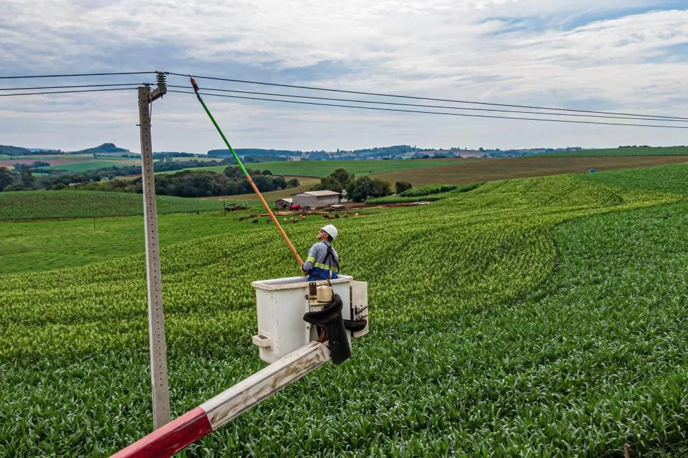 Com 25 mil km de novas redes rurais, Paraná Trifásico fortalece a agroindústria com energia mais potente e estável Foto: Copel