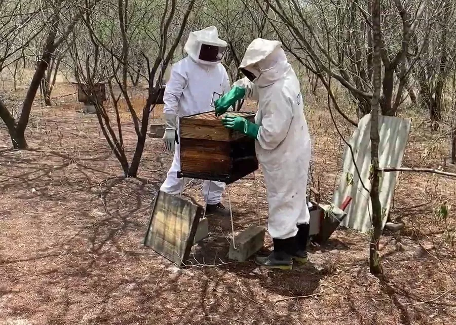 Foto: Francisco Evangelista