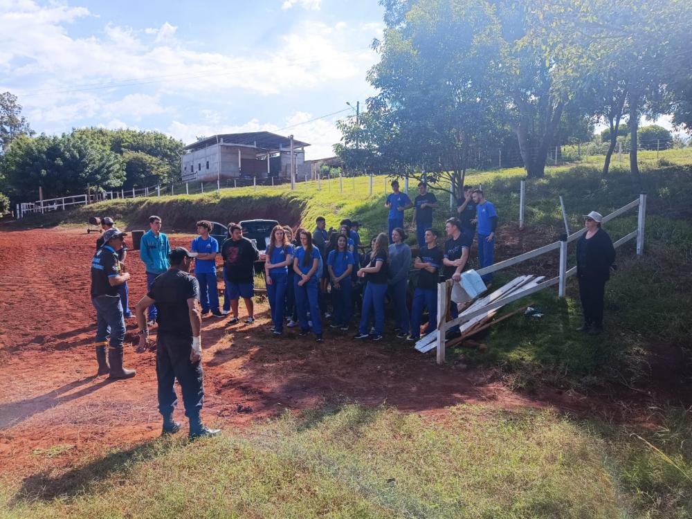 (Foto: Divulgação)