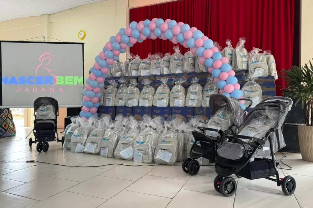 Programa que entrega carrinho de bebê para famílias carentes já alcançou mais de duas mil beneficiadas Foto: SEDEF