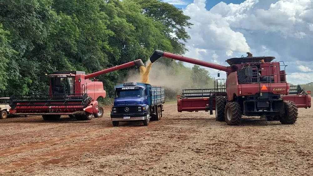 Copagril recebe primeira soja da safra 2025/2026 em dezembro e marca início antecipado da colheita no Oeste do Paraná