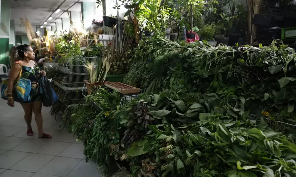 Fernando Frazão/Agência Brasil