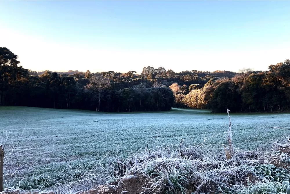 Extremos nas temperaturas e tornados: 2025 registrou dados meteorológicos históricos no Paraná Foto: Ana Tigrinho/AEN