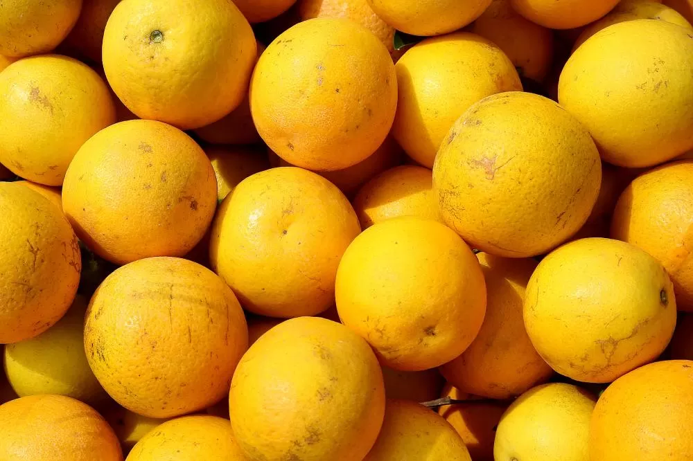 Setor de hortigranjeiros do Paraná começa 2026 com preços mais acessíveis ao consumidor, segundo Deral Foto: Jaelson Lucas/Arquivo AEN