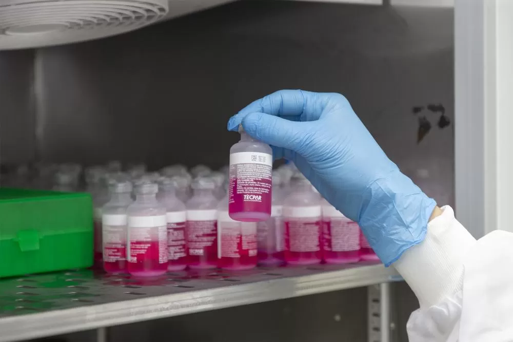 Parceria entre Tecpar e UFPR fortalece processo de produção de vacina antirrábica veterinária