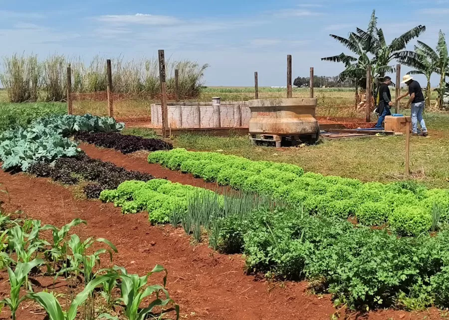 Foto: Christiane Congro