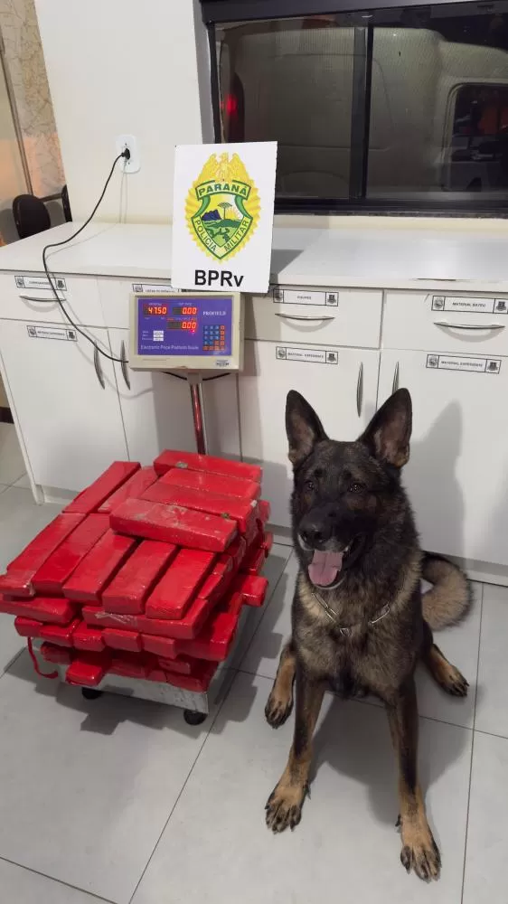 Polícia Militar do Paraná