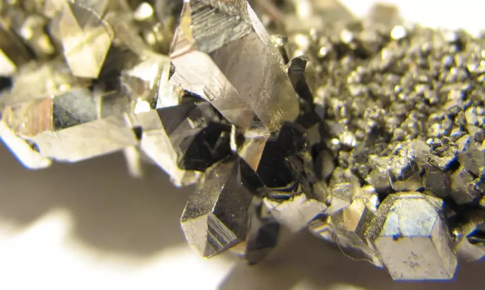  Portal Gov.br/Reprodução