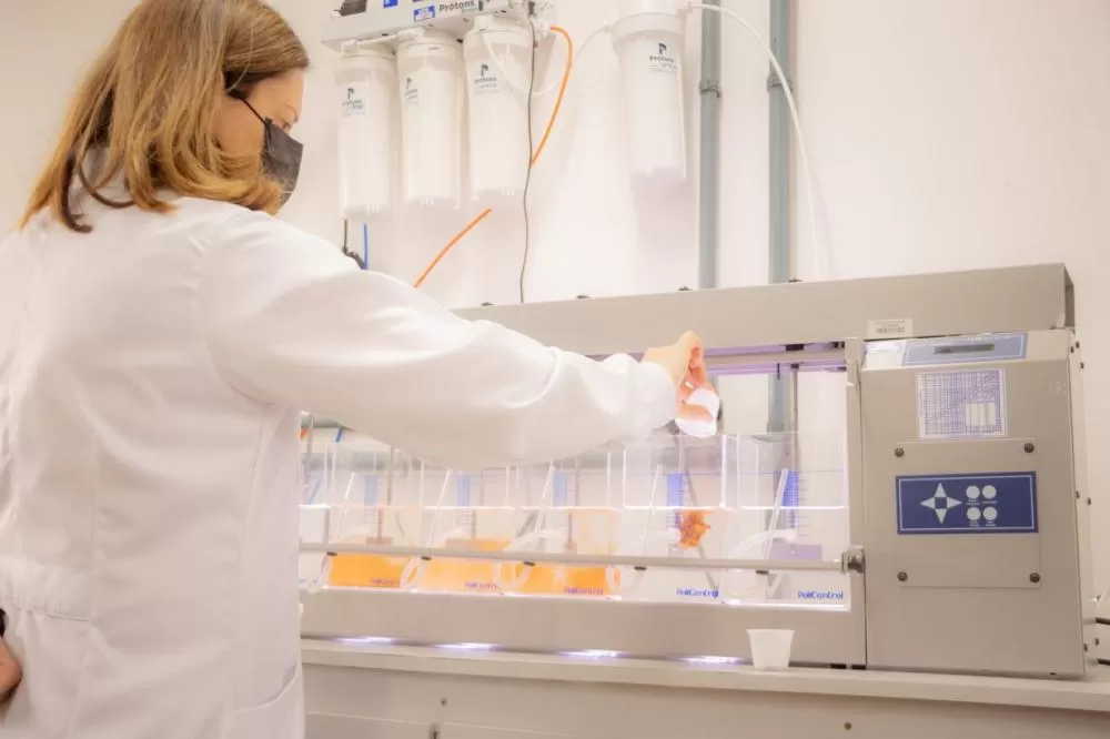 Universidades Estaduais confirmam excelência em pesquisa científica em avaliação da Capes Foto: UEPG