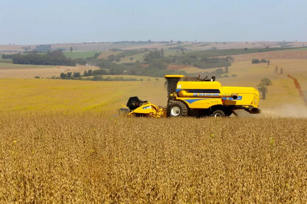 Safra de Soja do Paraná se aproxima do recorde e reforça otimismo, aponta Deral Foto: Jaelson Lucas/Arquivo AEN