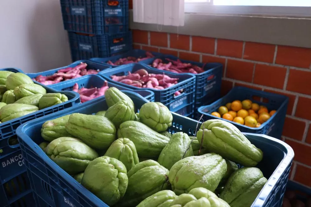 Aparência x qualidade: Estado reforça orientações para evitar desperdício de alimentos