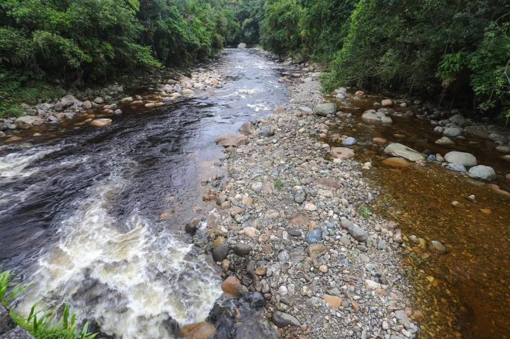 CBMPR alerta veranistas sobre risco de cabeças d’água durante o verão Foto: CBMPR