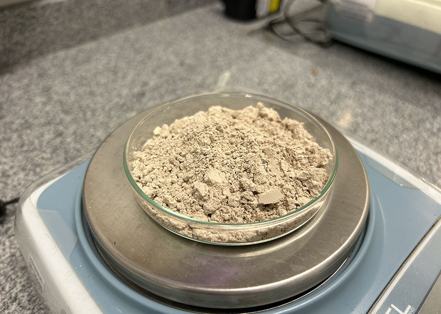O principal objetivo da pesquisa foi obter um ingrediente proteico de alta qualidade, com matéria-prima nacional