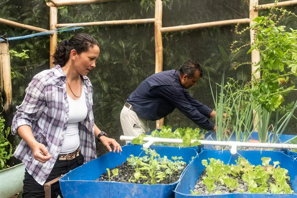 O caminho de quem serve