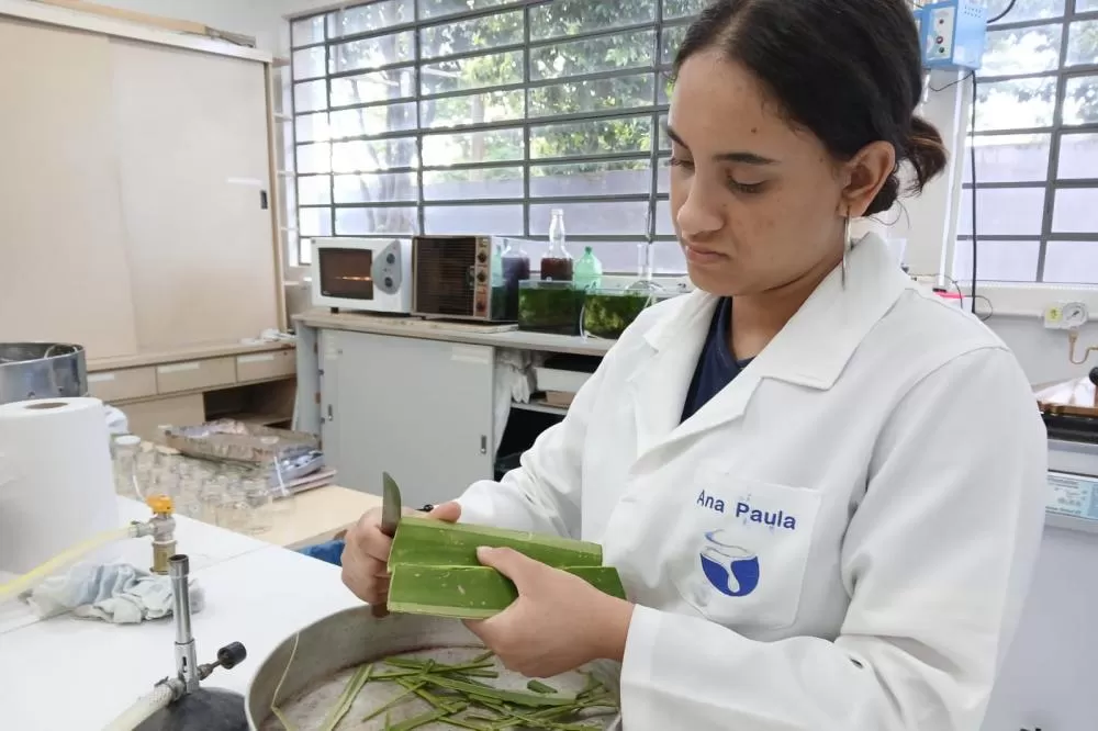 Ciência e pesquisa: projetos da rede estadual do Paraná são destaques na Febrace 2025