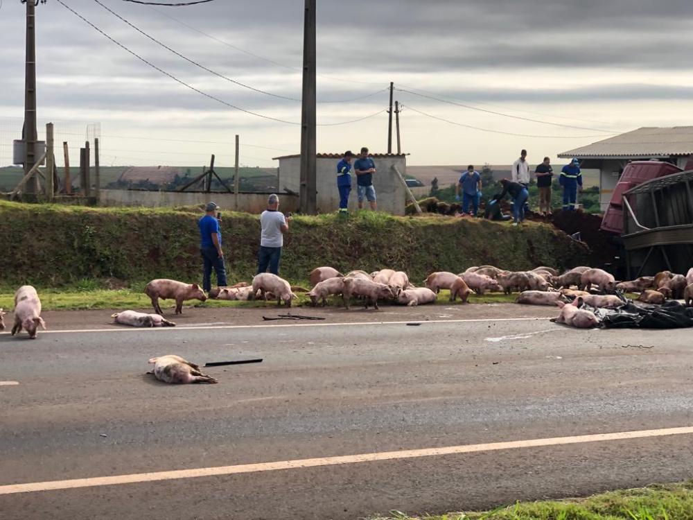 (Foto: Divulgação)