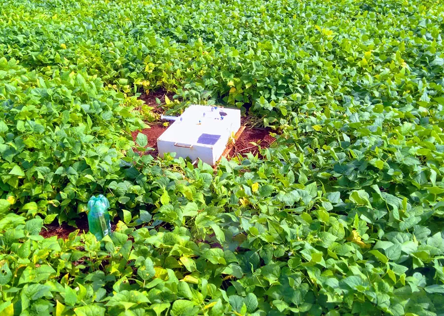 Foto: Márcia Thaís