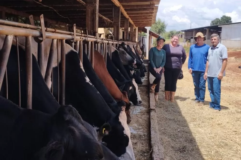 SEAB - Programa no Paraná fortalece pecuária leiteira e aumenta rentabilidade dos produtores Melhorias do solo, pastagens e nutrição do rebanho fortalecem pecuária leiteira do Paraná Foto: SEAB
