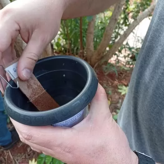 Endemias intensifica ações contra a dengue em Marechal Cândido Rondon