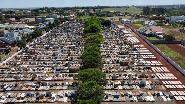 (Foto: Divulgação)