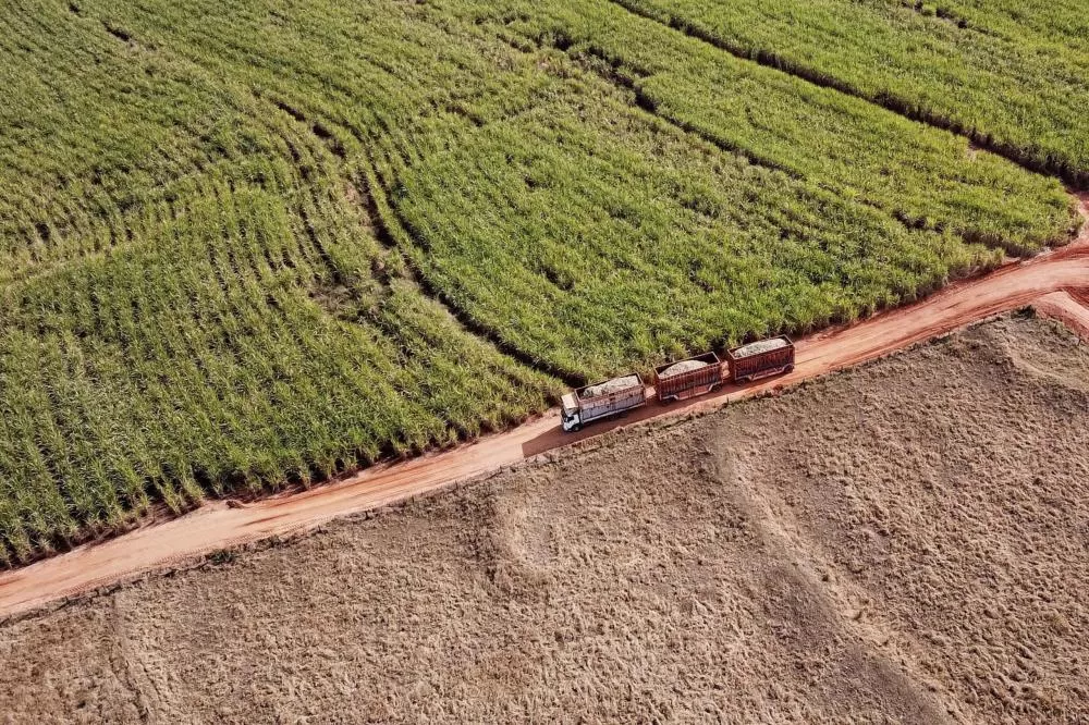 Foto: José Fernando Ogura/Arquivo AEN