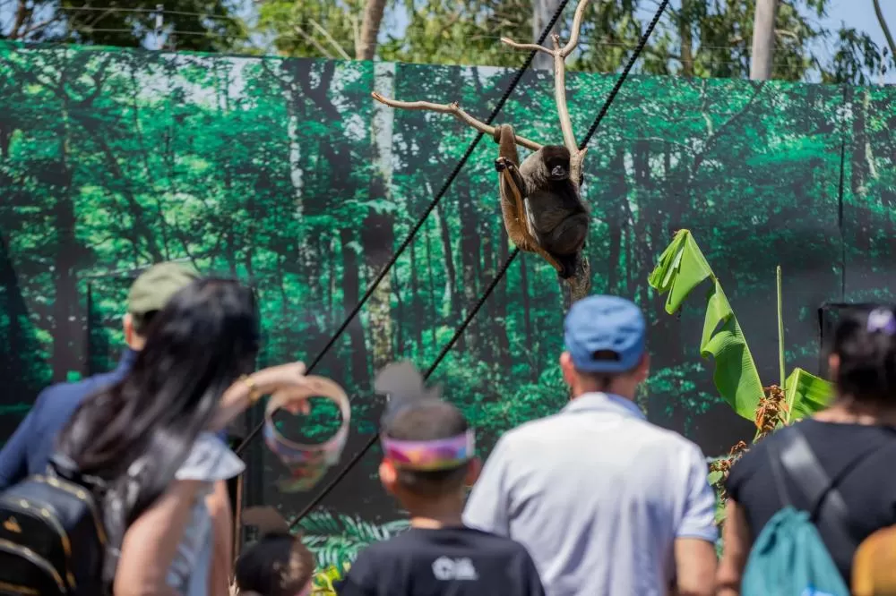 Best of the Best: com Foz do Iguaçu, Paraná marca presença na maior premiação da TripAdvisor Foto: Divulgalçao/Eco Park