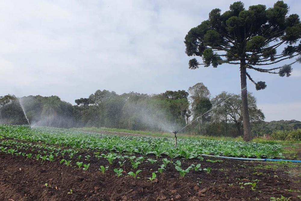 Prêmio Orgulho da Terra valoriza uso de tecnologias na agropecuária paranaense Foto: IDR