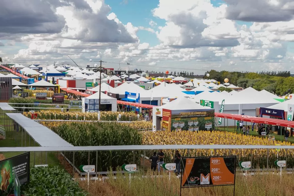 Foto: Roberto Dziura Jr/AEN