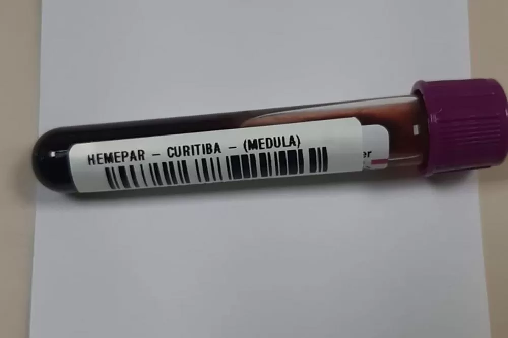 Fevereiro Laranja: a luta contra a leucemia e a importância do diagnóstico precoce Foto: SESA