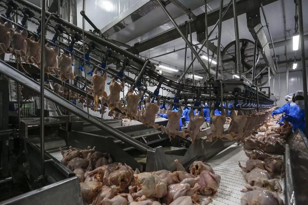 Foto: Jonathan Campos/AEN