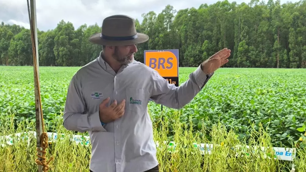 Foto: Juliana Caldas