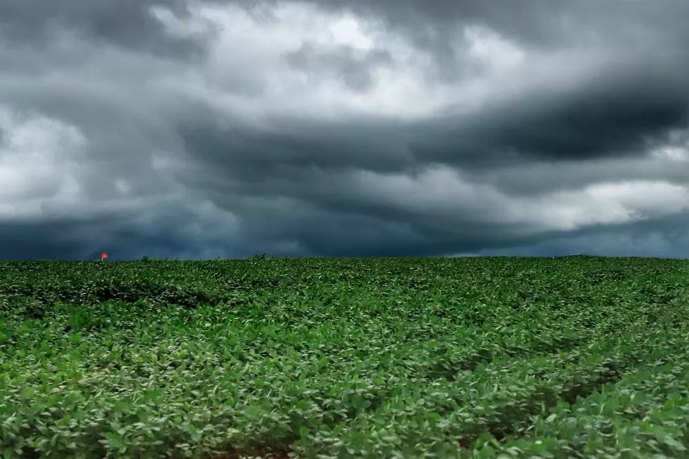 Tempestades atingem Campos Gerais e Norte do Paraná e seguem em direção ao Leste Foto: José Fernando Ogura/Arquivo AEN