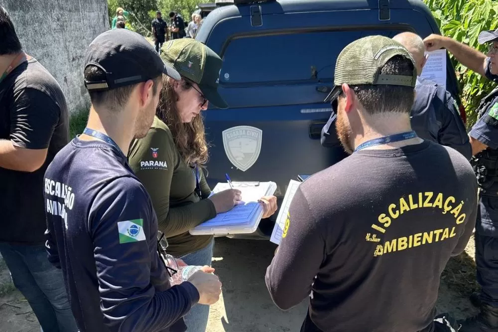 Governo cria canal exclusivo para denúncias de crimes ambientais no Paraná Foto: IAT