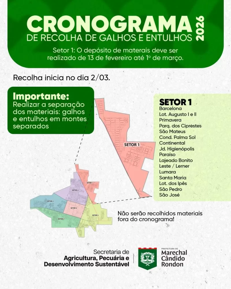 Depósito de galhos e entulhos no setor 1 deve ser feito até domingo