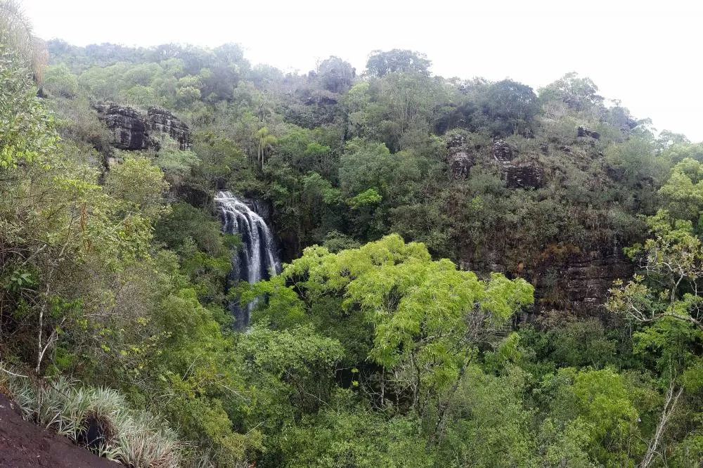 Fundo Verde do BRDE destinará R$ 3,5 milhões a projetos paranaenses de sustentabilidade Foto: BRDE