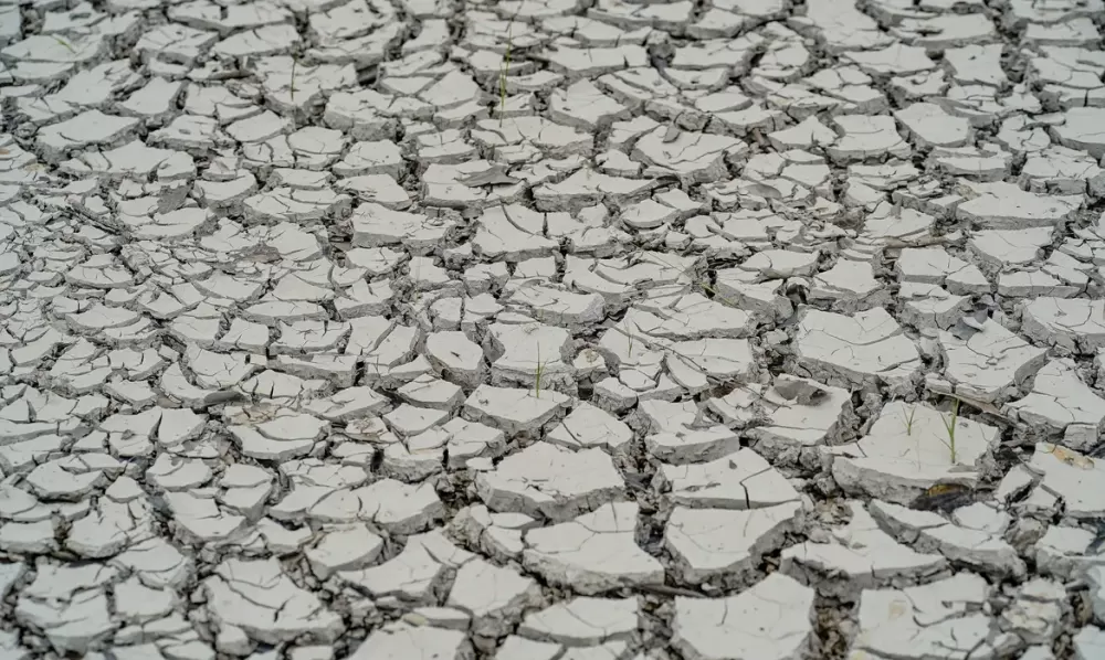 © Rafa Neddermeyer/Agência Brasil