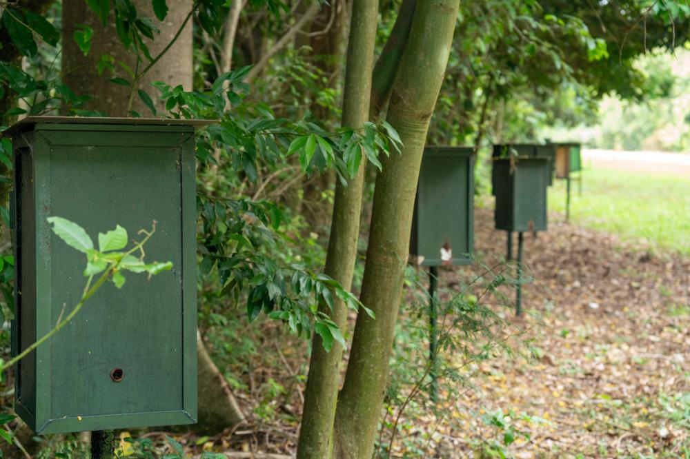 Inovação garante proteção às colmeias. Fotos: Alexandre Marchetti/Itaipu Binacional