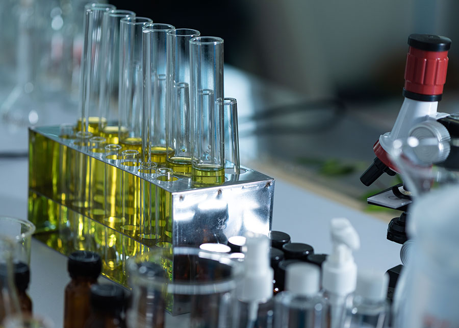 (Foto: Divulgação)