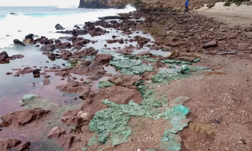 © Fernanda Avelar Santos/Divulgação