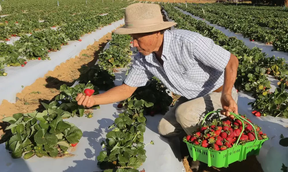 © Valter Campanato/Agência Brasil