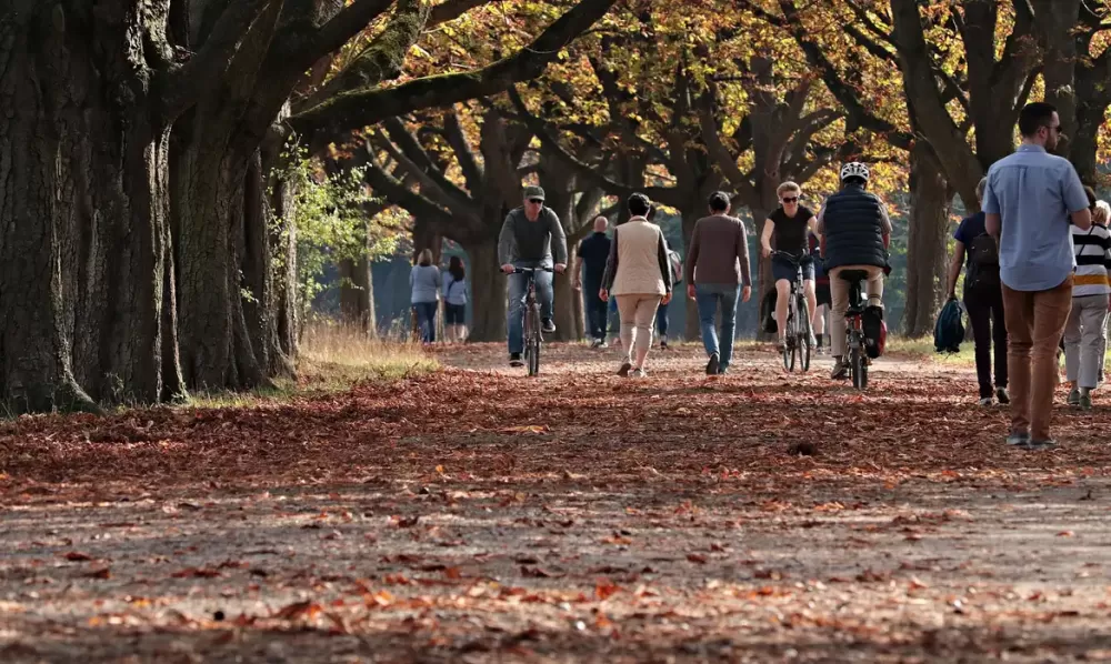 © Pixabay/Domínio Público