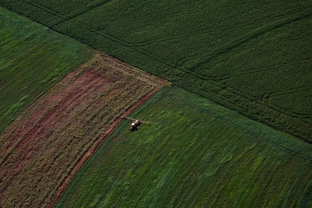 Supermercado do mundo: Paraná expande produção agropecuária entre 2018 e 2025