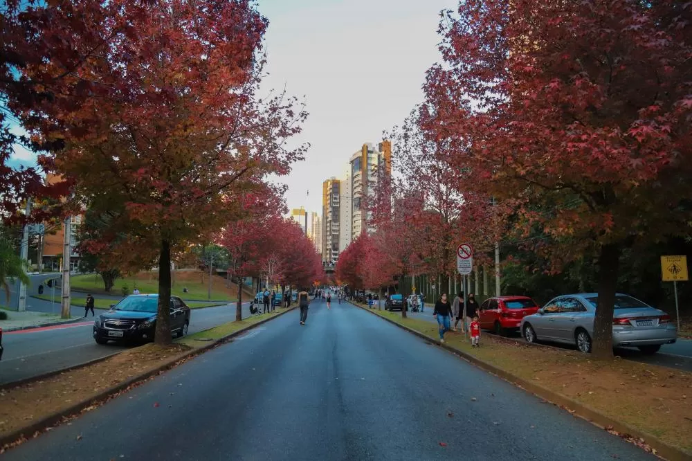 Saúde reforça importância de cuidados com doenças respiratórias típicas do outono