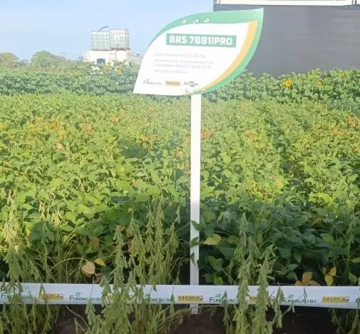 Foto: André Ferreira