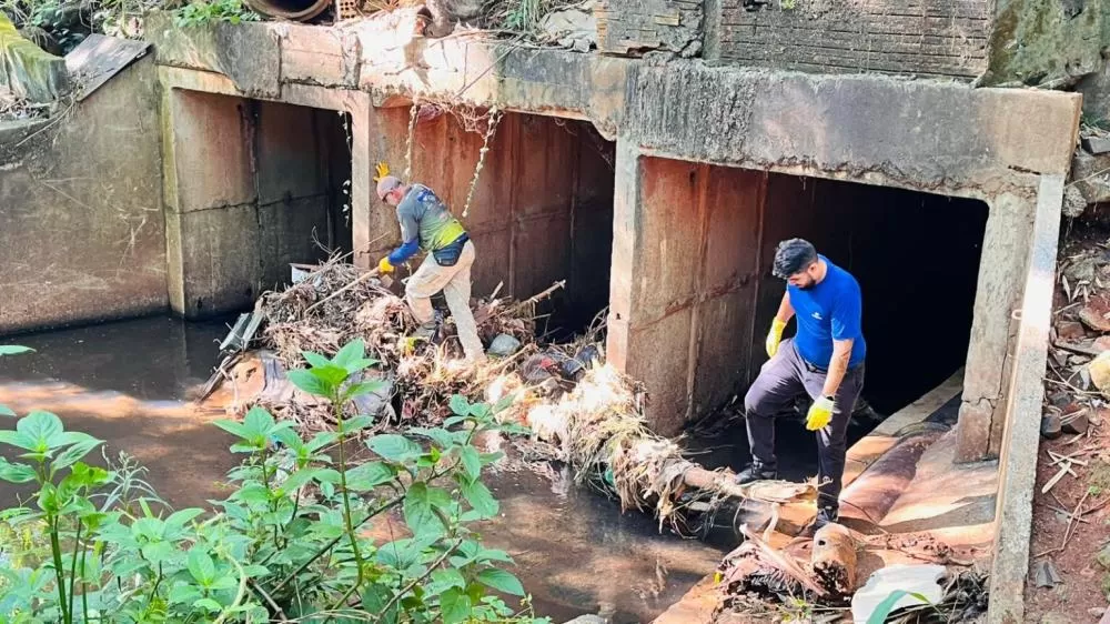 Dia Internacional da Água é celebrado em Foz do Iguaçu com ação de limpeza no Rio Boicy