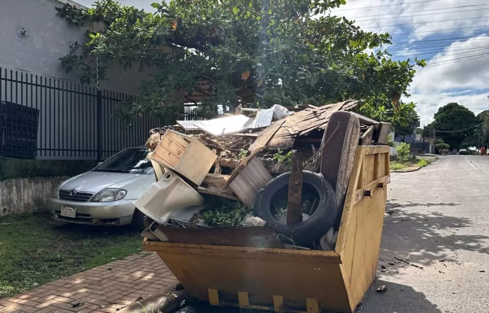 Trabalhos de zeladoria abrangeram toda a região Leste de Foz do Iguaçu