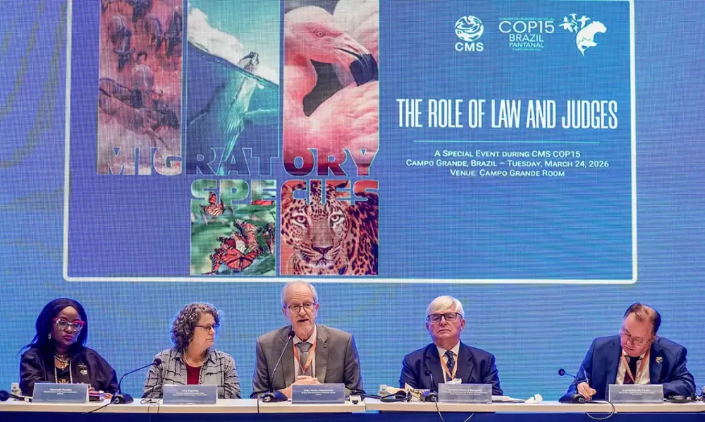 © Rafa Neddermeyer/Agência Brasil