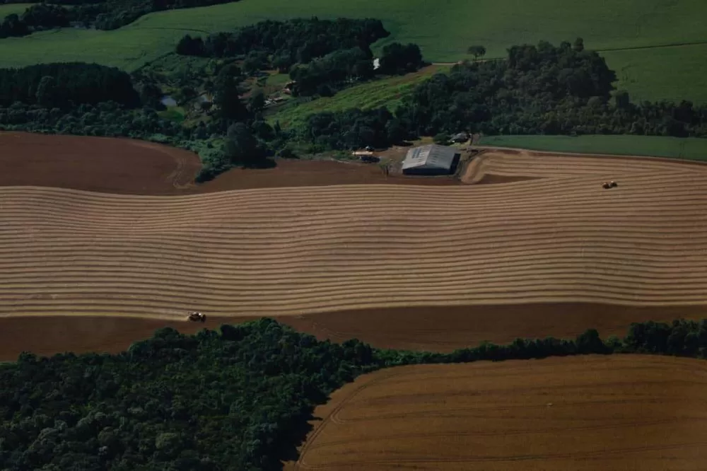 Safra de verão da soja caminha para o fim com 82% já colhida no Paraná Foto: Jonathan Campos/AEN